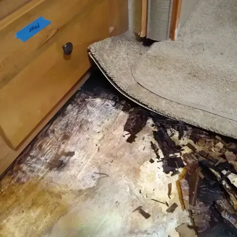 Best Wood Floor Water Damage Service in Saint Anne, IL